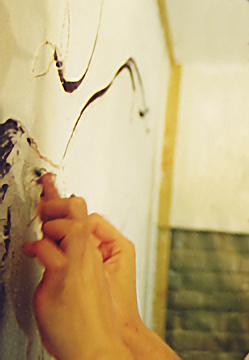 ����Ă܂��B